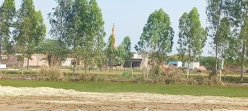 50 Sq. Yards Residential Plot For Sale In Tappal, Aligarh